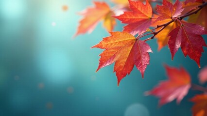 Fototapeta premium Autumnal foliage, vibrant red and orange leaves on a branch against a soft teal background, showcasing the beauty of seasonal change and nature's artistry.