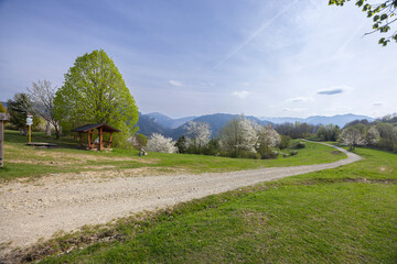 Spring landscape in Mala Fatra National Park with Velky Rozsutec peak, Slovakia