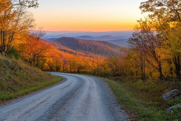 A dirt road surrounded by trees and foliage in a dense forest