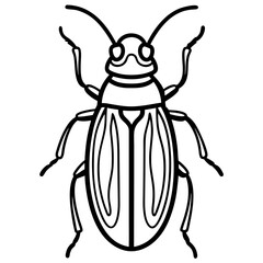 Elegant Beetle Line Drawing