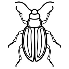 Elegant Beetle Line Drawing