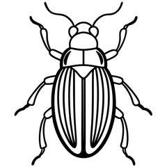 Elegant Beetle Line Drawing