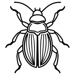 Elegant Beetle Line Drawing