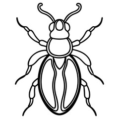 Elegant Beetle Line Drawing