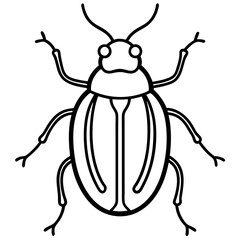 Elegant Beetle Line Drawing