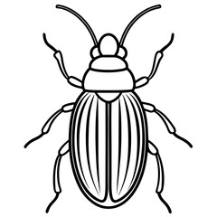 Elegant Beetle Line Drawing