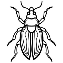 Elegant Beetle Line Drawing