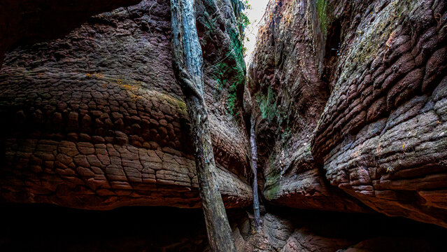 Naka Cave at Bueng Kan province. Travel destination of Thailand, Asia. (ฺBody part)