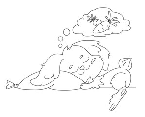 Sleeping bunny and carrot dream