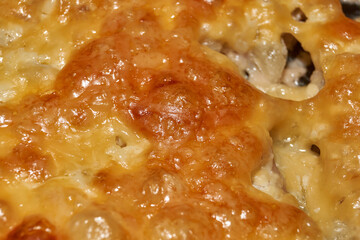 French-style meat baked in the oven. Meat, onion, cheese, mayonnaise, salt, pepper, vegetable oil. Close-up.