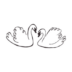 A pair of swans. Minimalistic vector hand drawn line illustration.