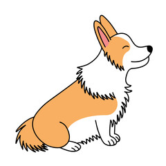 Cute Flat corgi sitting vector illustration