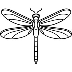 Elegant Dragonfly Outline