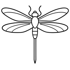 Elegant Dragonfly Outline