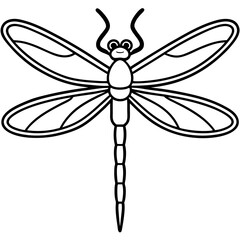 Elegant Dragonfly Outline