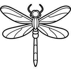 Elegant Dragonfly Outline