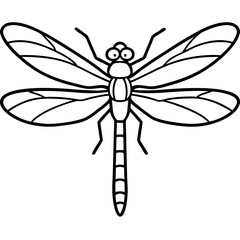Elegant Dragonfly Outline