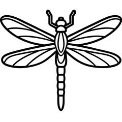 Elegant Dragonfly Outline