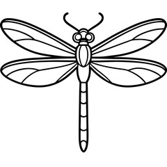 Elegant Dragonfly Outline