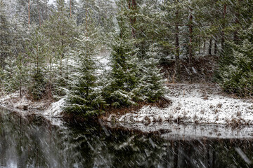 winter landscape with a lake, magical snow-covered trees and reflections in the lake, a gorgeous winter day