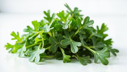 Fresh arugula leaves on white background.