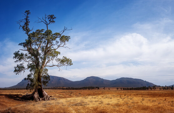 flinders ranges national aprk, australia
