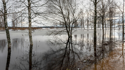 latvian winter landscape with flooded lake, thin and light ice in places, reflections