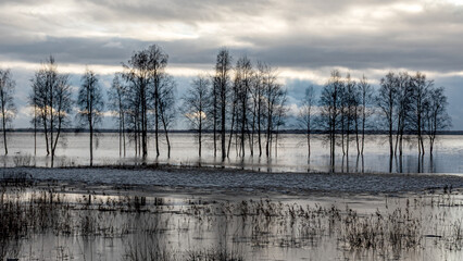 latvian winter landscape with flooded lake, thin and light ice in places, reflections