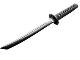 An elegant katana sword with a black handle, showcasing fine craftsmanship and cultural significance in martial arts.