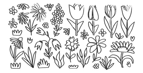 Marker drawn flowers and leaves set. Charcoal line poppy, tulip, daisy doodle monochrome. Floral outline brush chamomile and marguerite kids chalk style shape. Vector black pencil illustration.