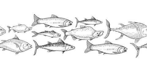 School of fish salmon, tuna black white vector seamless border on white. Shoal trout, mackerel engraving hand drawn. Flock nerka sea fish monochrome repeat texture. Group sea fish graphic line art.