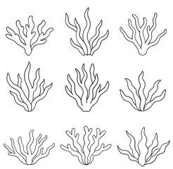 Simple Seaweed line art illustration. Coloring book page for kids