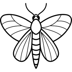 Geometric Moth Illustration