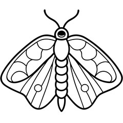 Geometric Moth Illustration