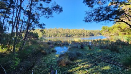 Big Brook Arboretum Dam in Western Australia