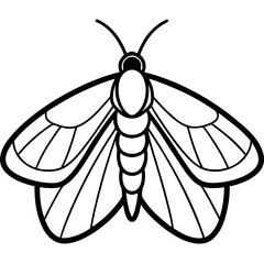 Geometric Moth Illustration