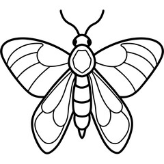 Geometric Moth Illustration