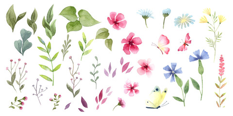 A set of watercolor plant elements to customize  design