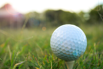 Close-up of Golf Ball on Tee in a Lush Green Field at Sunset