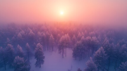 Frost-covered pine trees stretch endlessly under a soft pink sunrise haze, captured in stunning 100MP resolution, perfect for large-format winter landscape prints.  