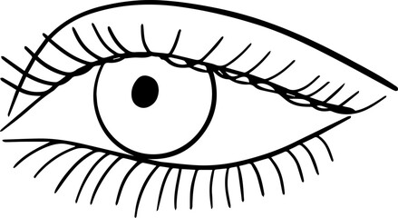 Beauty woman eyes with makeup. 