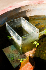 Small old fish tank in water and aquatic plants