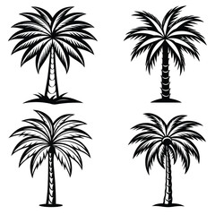 Fototapeta premium Black line art date palm tree set