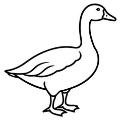 Graceful Goose Linework