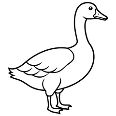 Graceful Goose Linework