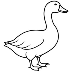 Graceful Goose Linework