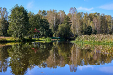Tranquil Waterfront Gazebo on Sunny Day