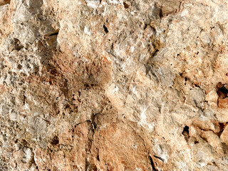 Textured rock surface showcasing mineral patterns found in natural landscapes