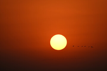 sunset in the sky