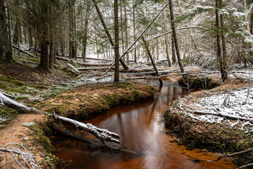 winter landscape with forest, magical snow-covered trees, small, wild river with many bends, many fallen trees over the river